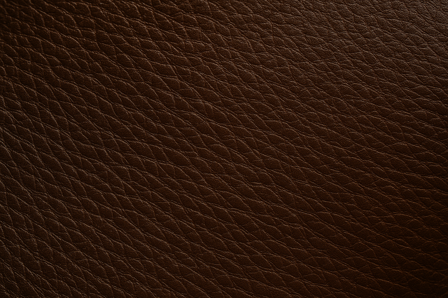 Premium Leather